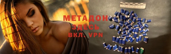 индика Абаза
