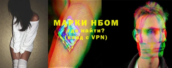 индика Абаза