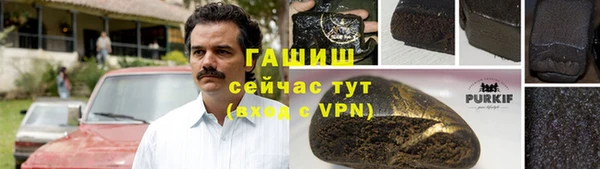 индика Абаза