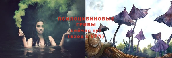 трава Абинск