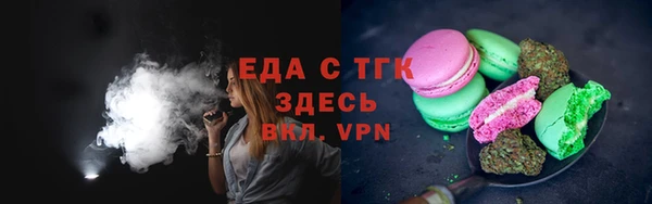 индика Абаза