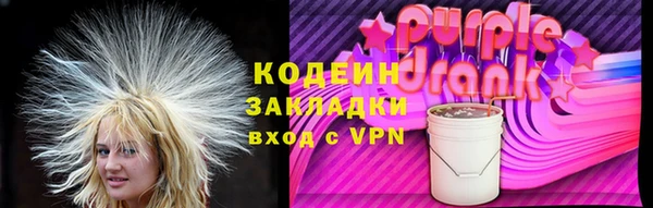 индика Абаза