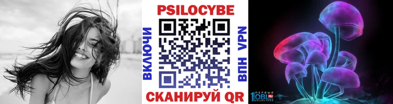 кракен сайт  Таштагол  Галлюциногенные грибы Psilocybe 